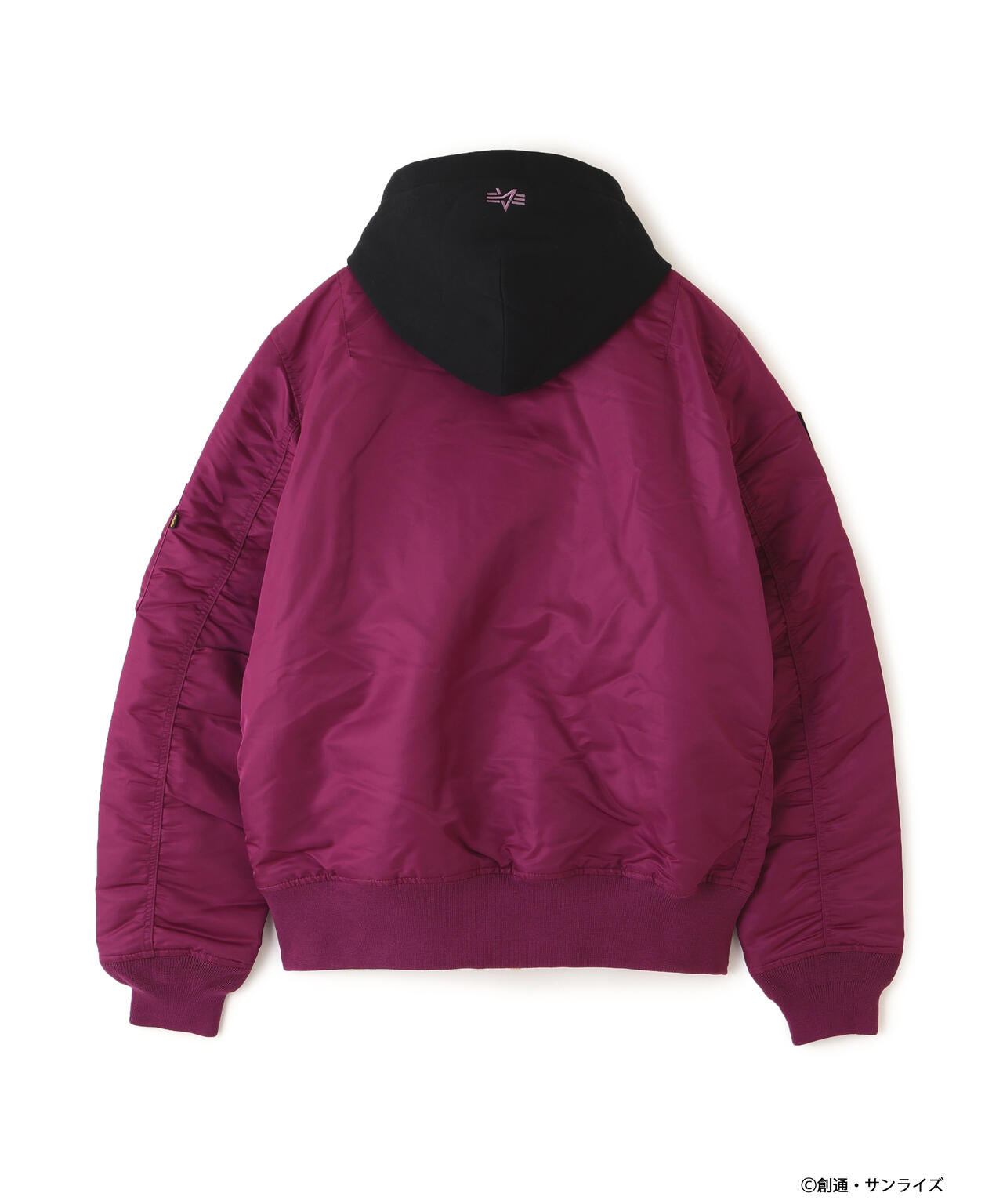 STRICT-G ALPHA『機動戦士ガンダム SEED FREEDOM』MA-1 NATUS アスラン・ザラモデル