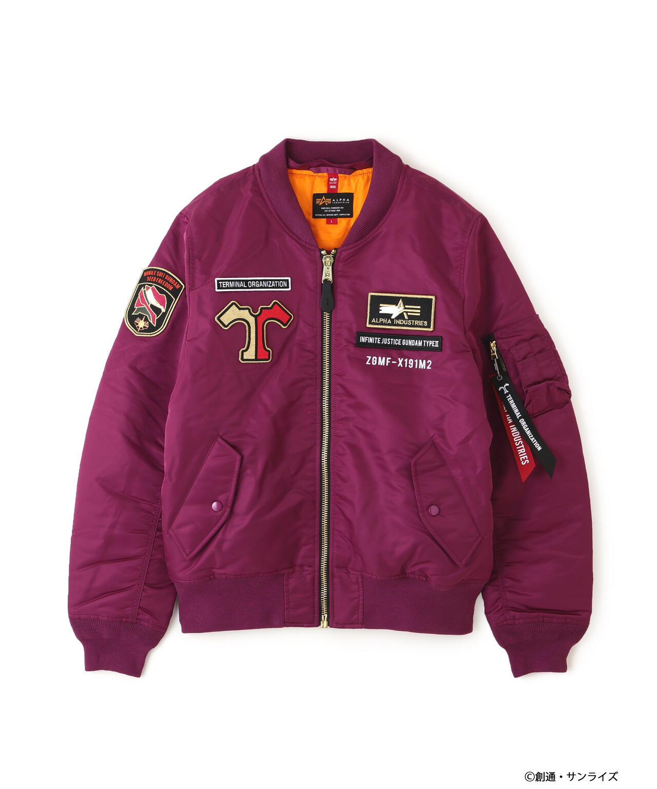 STRICT-G ALPHA『機動戦士ガンダム SEED FREEDOM』MA-1 NATUS アスラン・ザラモデル