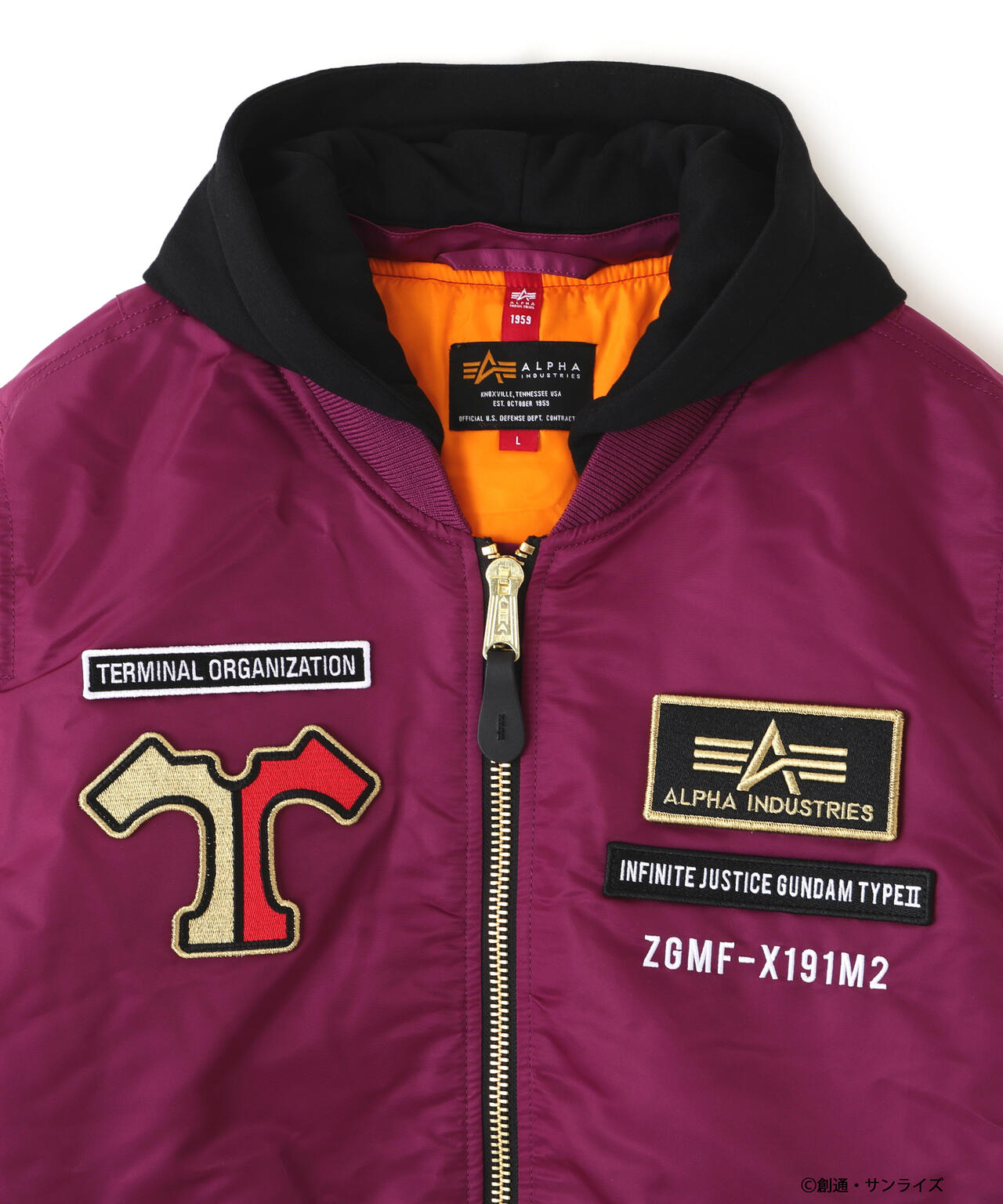 STRICT-G ALPHA『機動戦士ガンダム SEED FREEDOM』MA-1 NATUS アスラン・ザラモデル