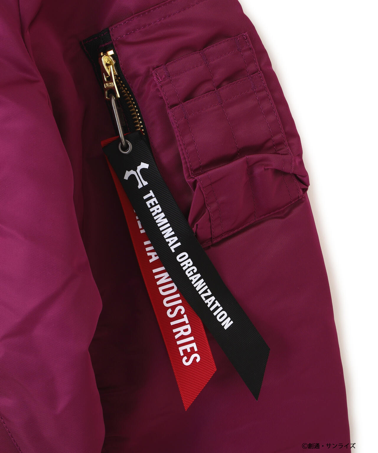 STRICT-G ALPHA『機動戦士ガンダム SEED FREEDOM』MA-1 NATUS アスラン・ザラモデル