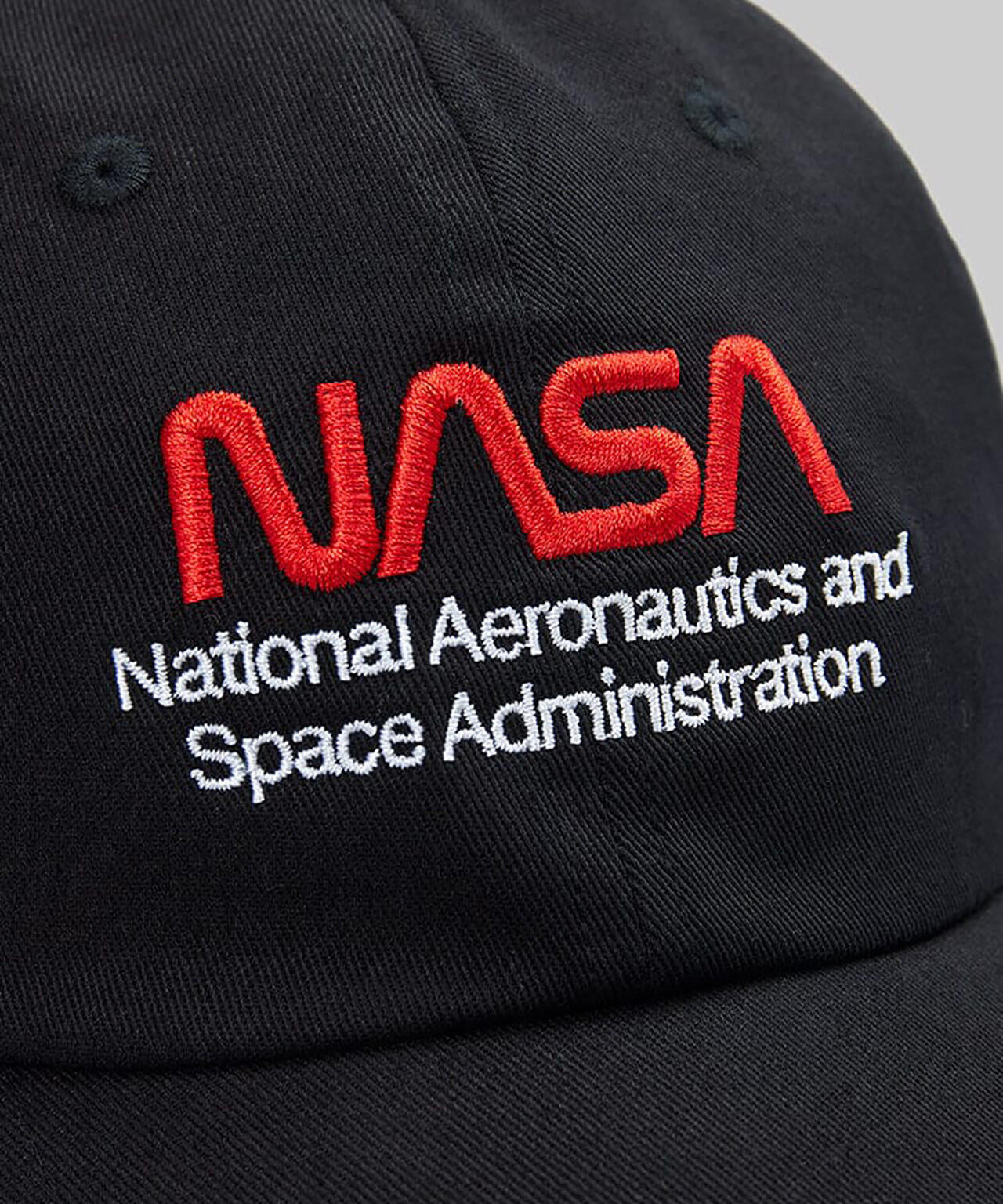 NASA WORM LOGO CAP