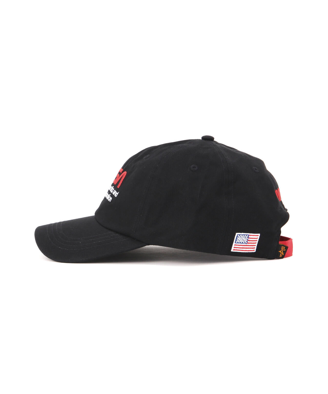 NASA WORM LOGO CAP